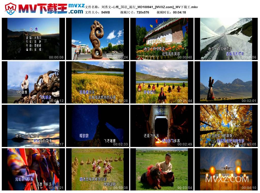 刘秀文-心鹰_国语_流行_MD100941